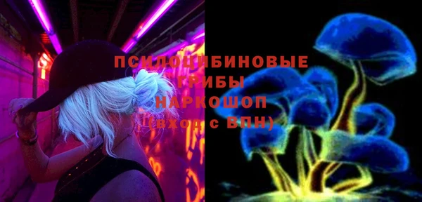 PSILOCYBIN Белоозёрский