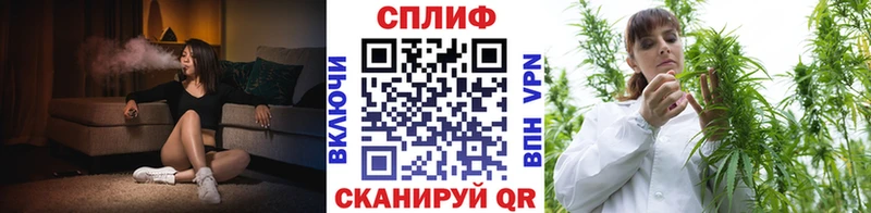площадка состав Касимов Каннабис конопля